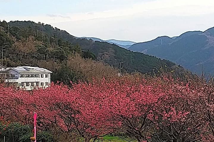 Explore Yaizu