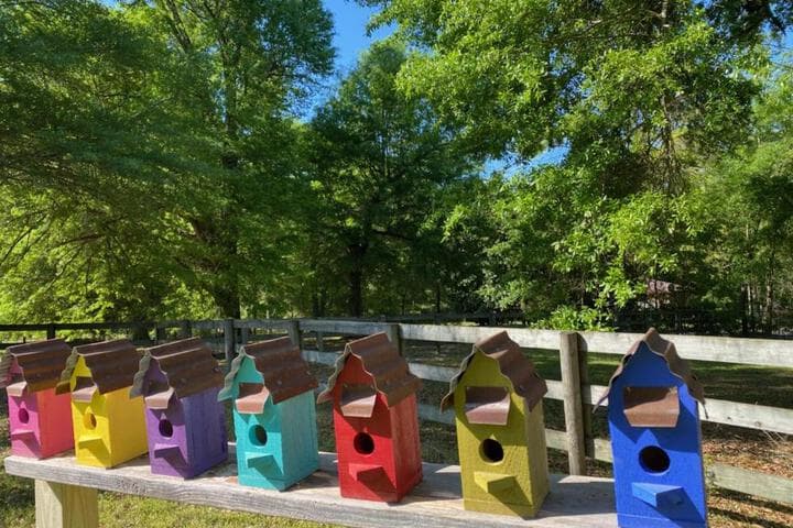 Explore North Augusta