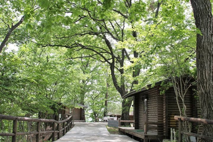 Explore Saitama
