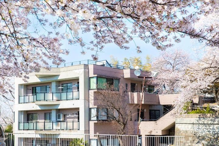 Explore Hayama
